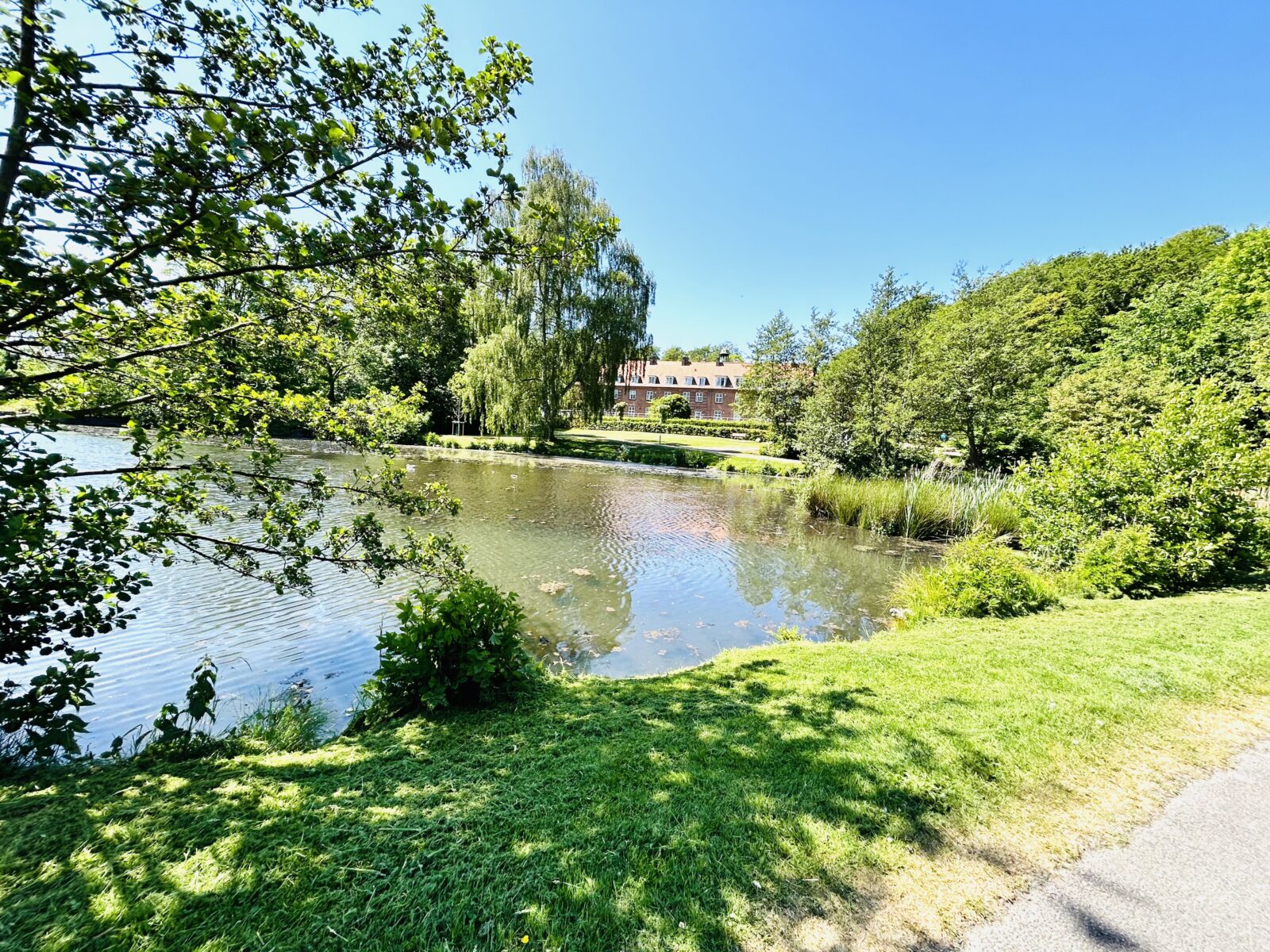 Rottefældeskoven Svendborg